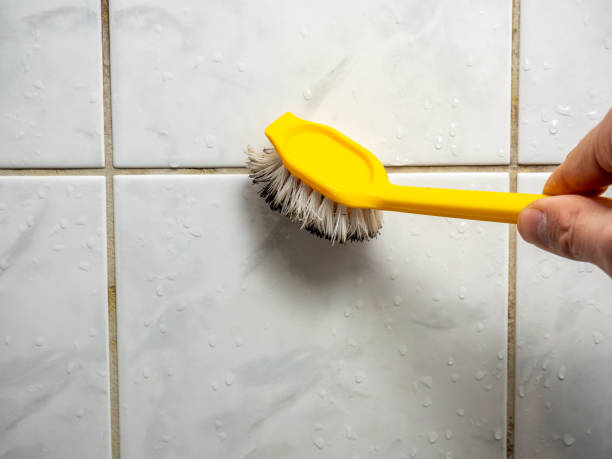 Best Mold Remediation  in Saratoga, CA