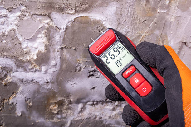 Best Mold Removal Process  in Saratoga, CA