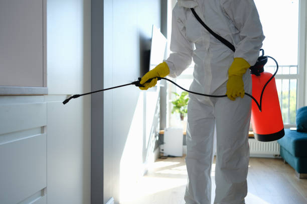 Certified Mold Removal in Saratoga, CA