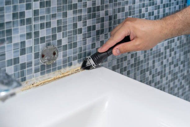 Best Local Mold Removal Service  in Saratoga, CA
