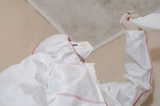 Best Crawl Space Mold Removal  in Saratoga, CA
