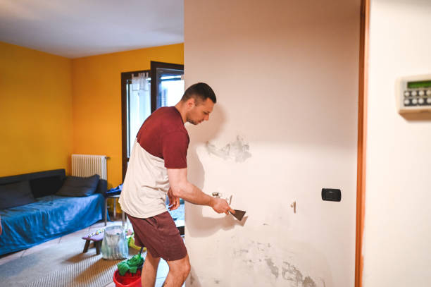 Best Local Mold Removal Service  in Saratoga, CA